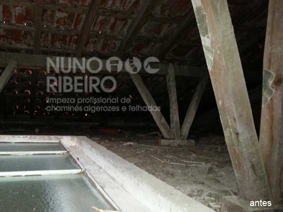 Nuno Ribeiro Limpa Chamines Image